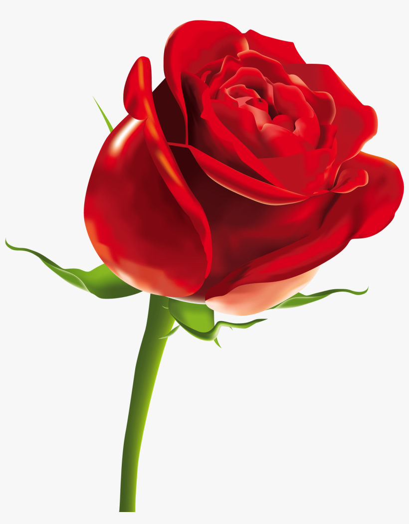 Download Red Rose Png Image - Rose Png, transparent png download