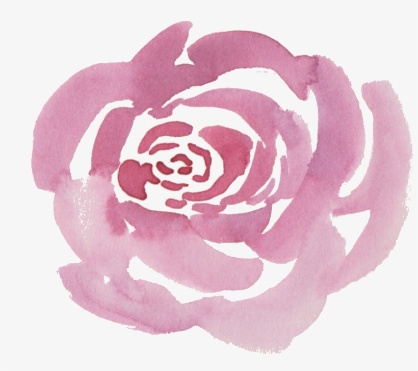 A Million Instagram Tutorials And Attempted To Copy - Pink Watercolor Rose Clip Art, transparent png download