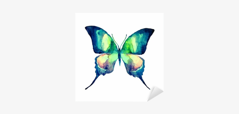 Mariposas Pintadas En Acuarela, transparent png download