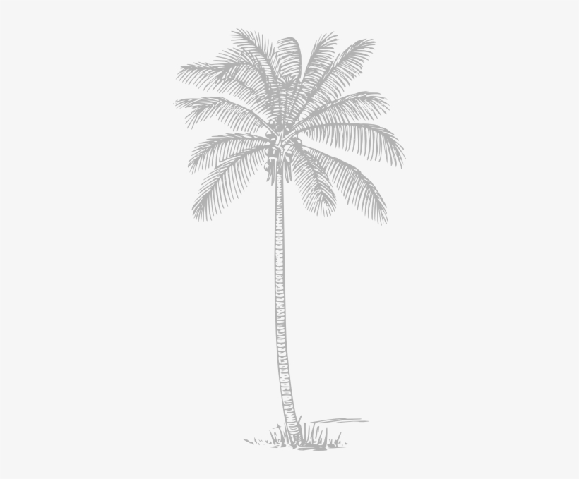 How To Set Use Gray Palm Tree Clipart, transparent png download