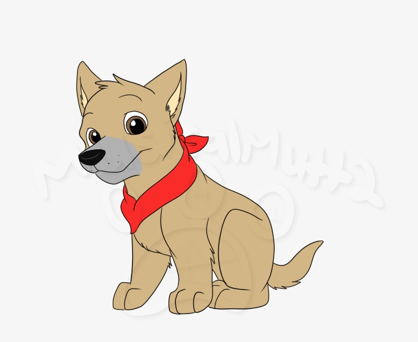 Bandit Pup - Photograph, transparent png download