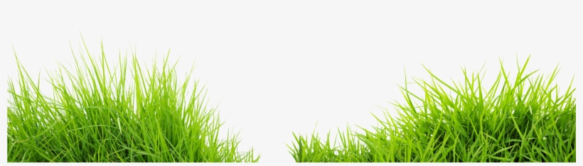 Portable Network Graphics, transparent png download