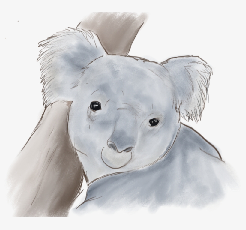 Org/wp Transparent - Watercolor Painting, transparent png download