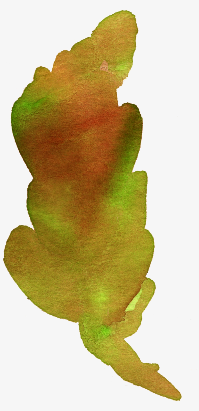 1 - Gambel Oak, transparent png download