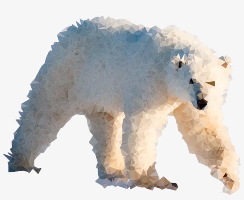 Graphic Fun - Polar Bear, transparent png download