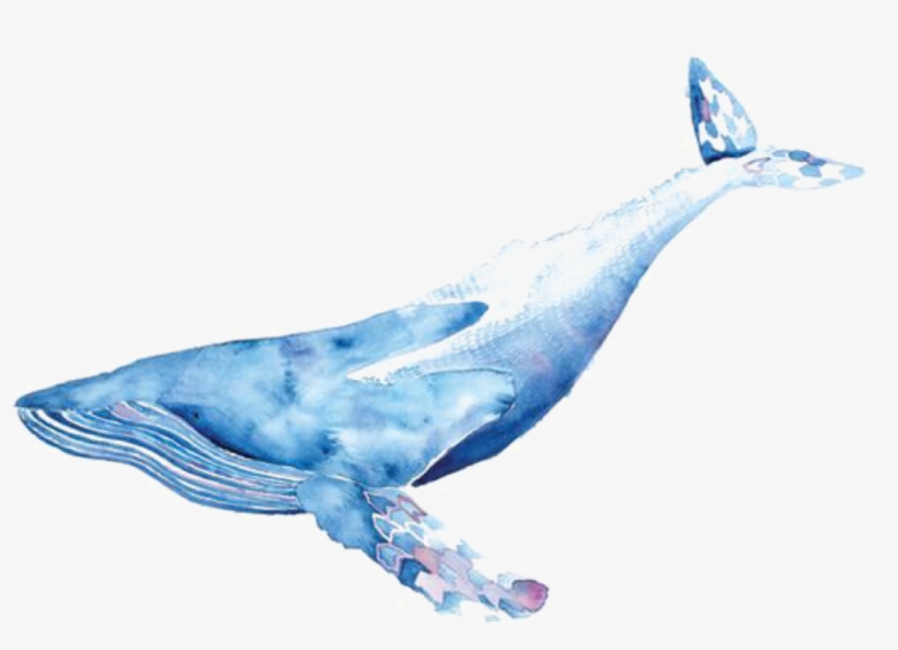 Watercolor Whale Transparent, transparent png download