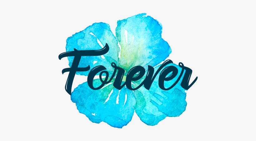 Word Stickers For Imessage Messages Sticker-3 - Sticker, transparent png download
