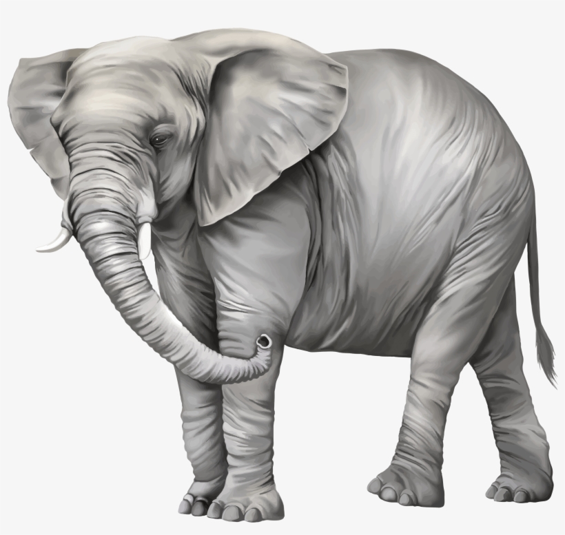 Elephant Png Photos - Elephant Clip Art Png, transparent png download
