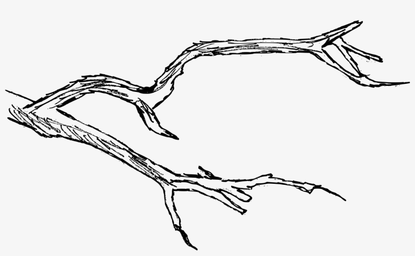 Free Download - Drawing, transparent png download