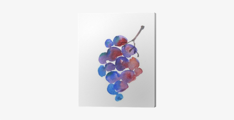 Blue Grape Watercolor Sketch - Seedless Fruit, transparent png download