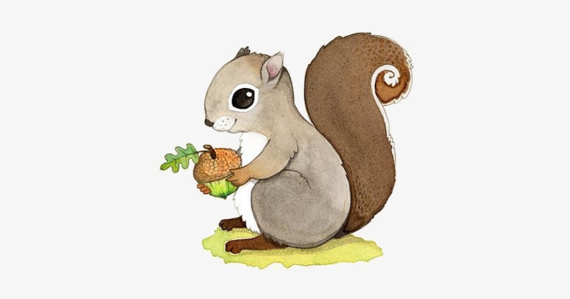 Ecureuils - Woodland Animals For Preschool, transparent png download
