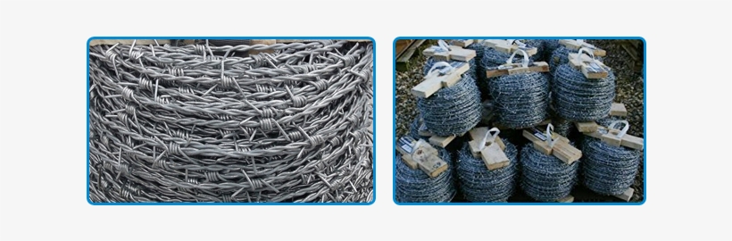 Barbed Wire Suppliers - Barbed Wire, transparent png download