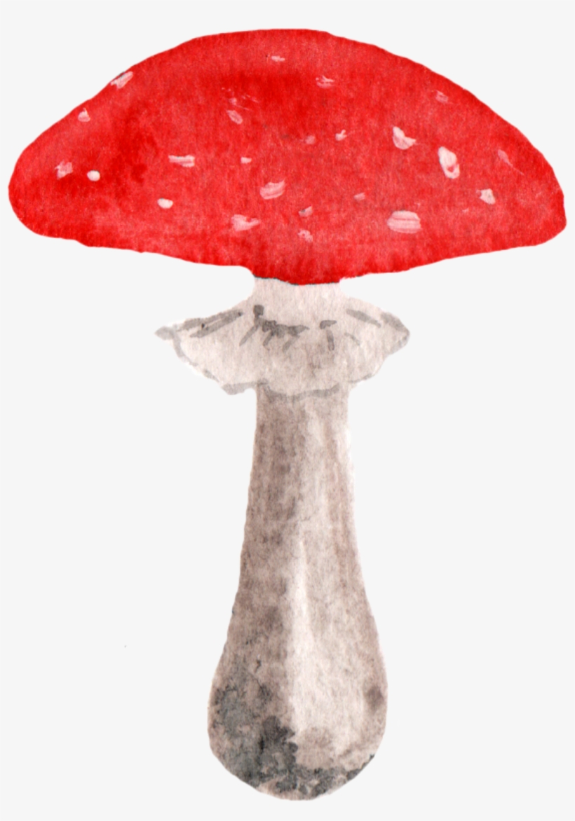 Report Abuse - Watercolor Painting, transparent png download