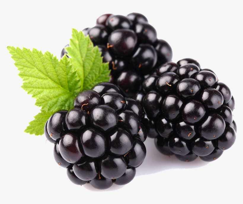 Blackberry Fruit Free Download Png - Free Blackberry Transparent Background, transparent png download