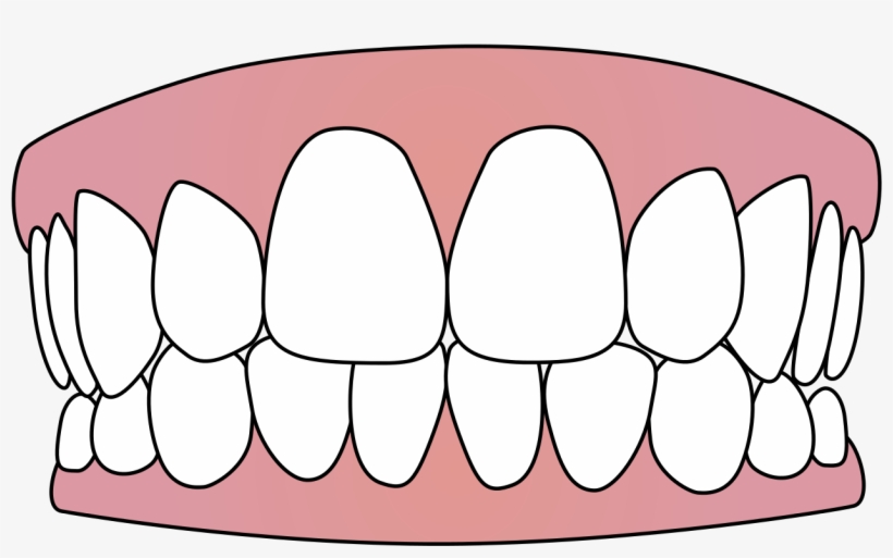 Tooth Icon - Teeth Icon, transparent png download