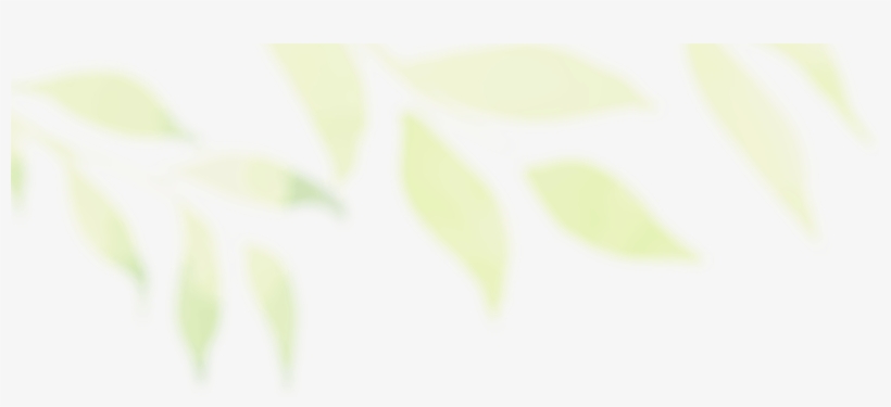 Header Green Blur Left - Plant, transparent png download