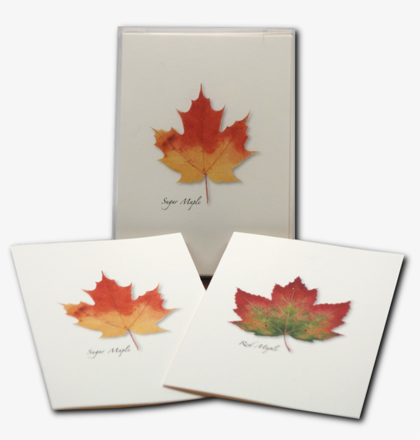 Shopping Cart -  -  - Maple Leaf, transparent png download