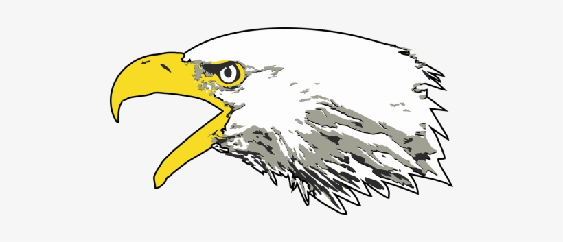 Eagle,bald Eagle,screaming Head - Bald Eagle, transparent png download
