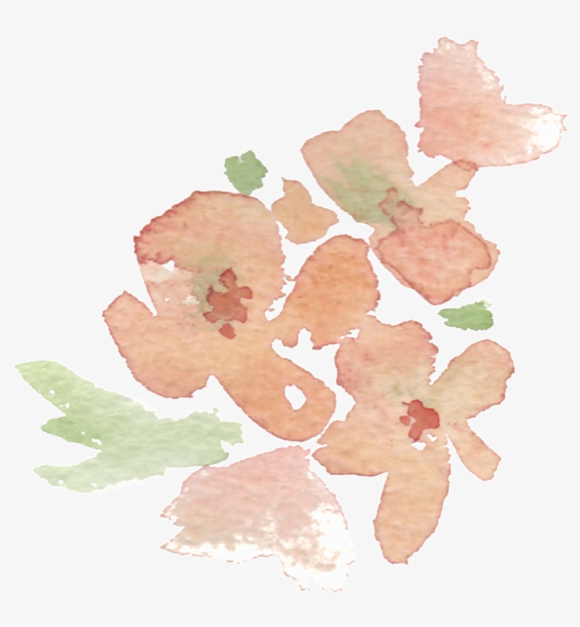 Watercolor Doodle Floral Transparent Decorative - Portable Network Graphics, transparent png download