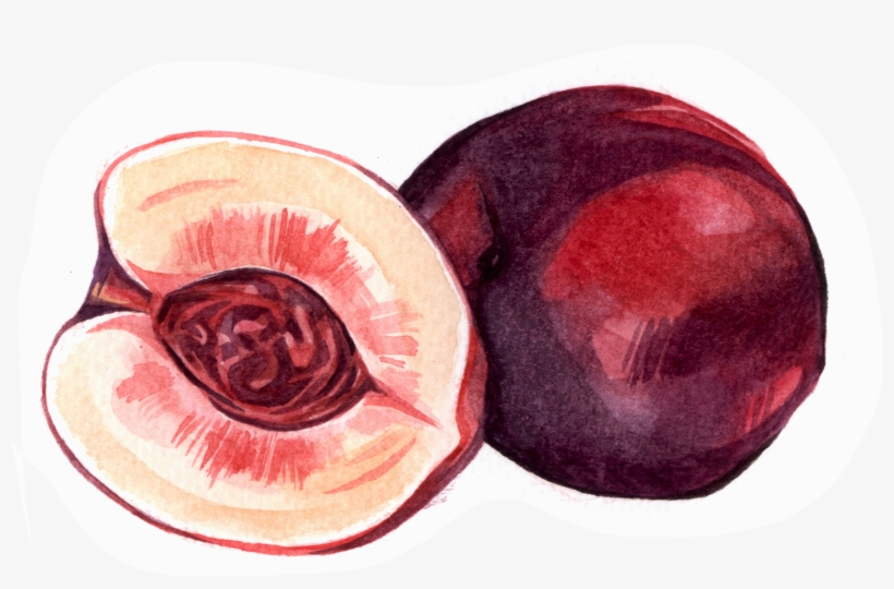 Fruit & Veg - Illustration, transparent png download