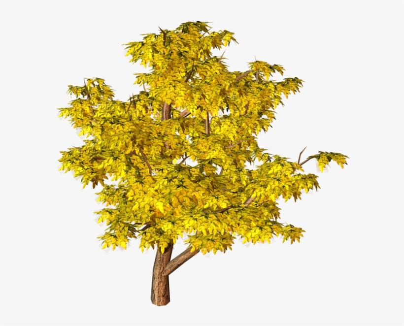 Yellow Fall Tree Png Clipart - Png Tree Background Hd, transparent png download