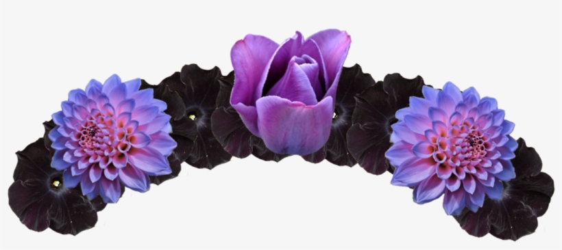 Twilight Sparkle Deviantart Anime Flower Crown Crown - Purple And Black Flower Crown, transparent png download