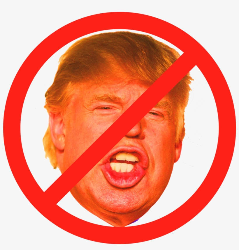 I Almost Didn't Put This In The Idiot Of The Week Section - I'm With Stupid Trump Palin Sticker, transparent png download