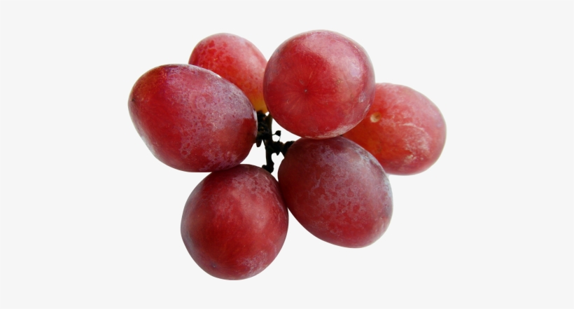 Download Grapes Png Image - Grapes Png, transparent png download