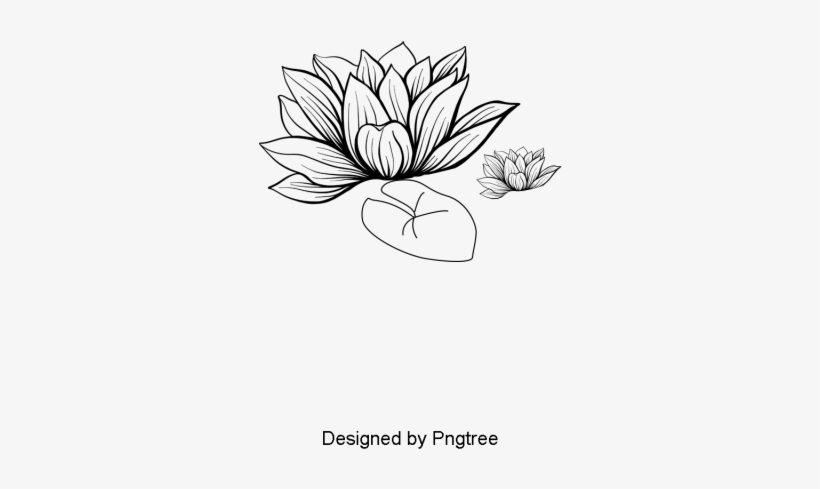 Cartoon Hand-painted Simple Lotus Design, Cartoon, - Design, transparent png download
