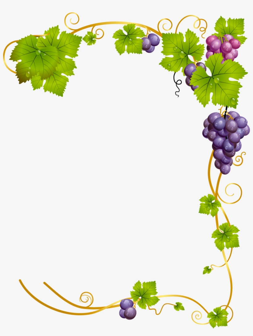 Common Vine Wine Leaf Transprent Png Leaf Watercolor Png Wine PNG