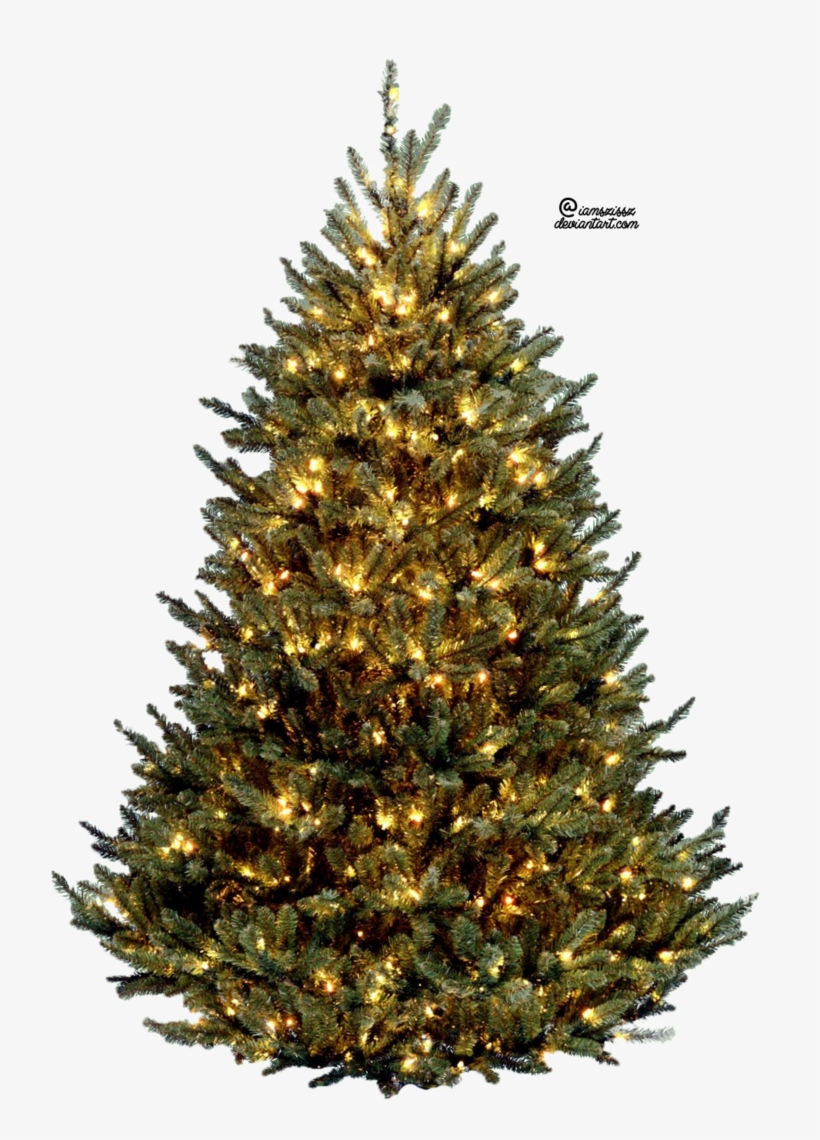 15 Christmas Tree With Lights Png For Free Download Real Christmas