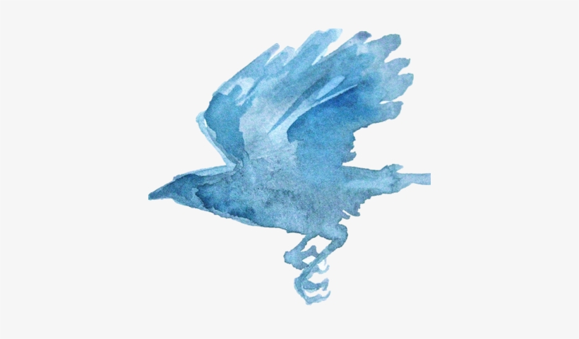 Melanie Mascarenhas - Blue-footed Booby, transparent png download