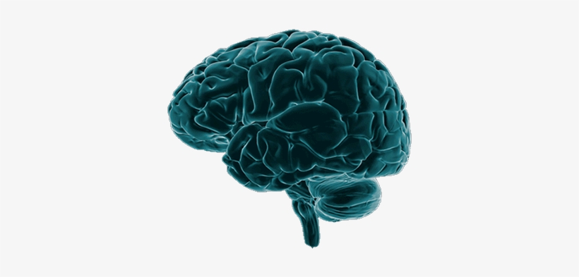 Progesterone Molecule - Brain Damage Png, transparent png download