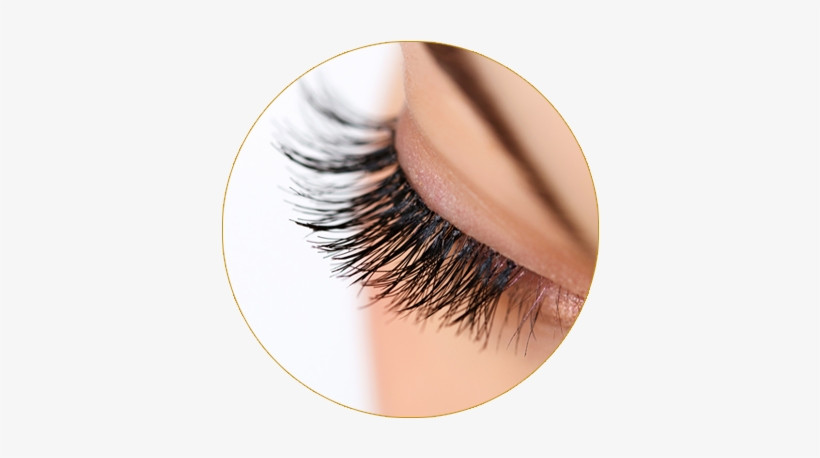 Eyelash Extension Png Banner Royalty Free Download - Eye Lash Png, transparent png download