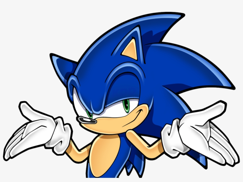 Never Miss A Moment - Sonic Better Than Nothing, transparent png download