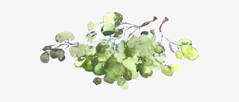 Our Wine - Watercolor Painting, transparent png download