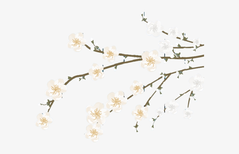 flower bouquets new baby products filters graphic white branches flowers vector png image transparent png free download on seekpng white branches flowers vector png image
