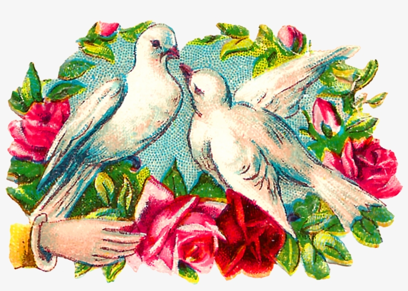 The Colorful Romantic Clipart Images Of Pairs Of Doves - Clip Art, transparent png download
