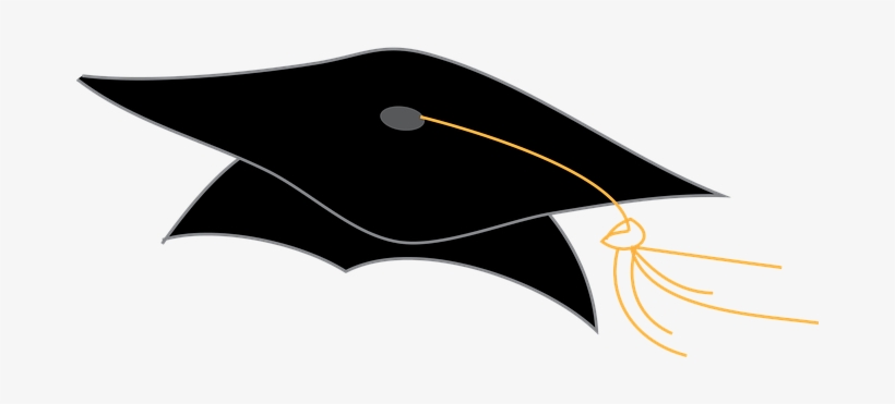 Graduation Cap Graduation Hat Coll Cap Gra - Graduation Cap Png, transparent png download