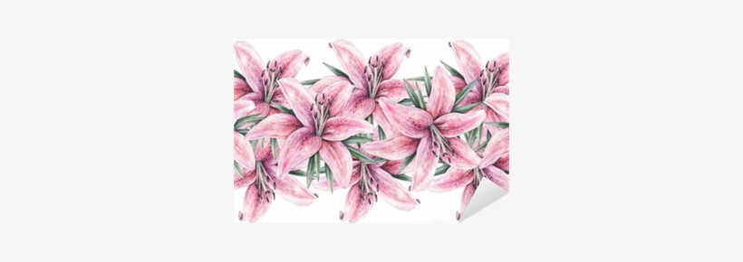 Pink Lily Flowers Isolated On White Background - Lilie Rysunek, transparent png download