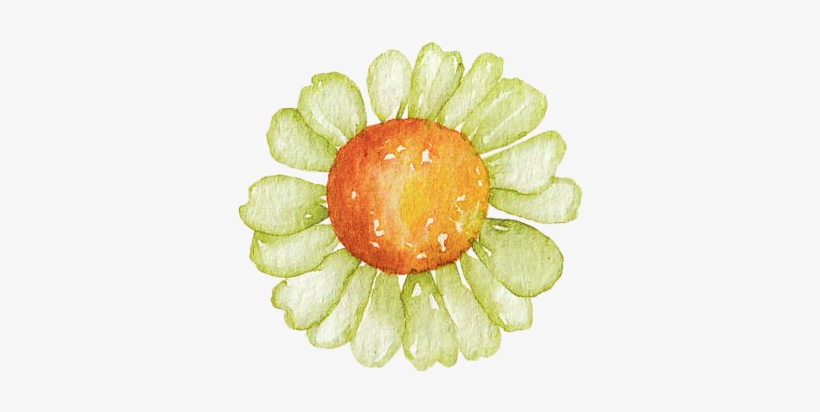 Watercolour Paintings - Watercolor Painting, transparent png download