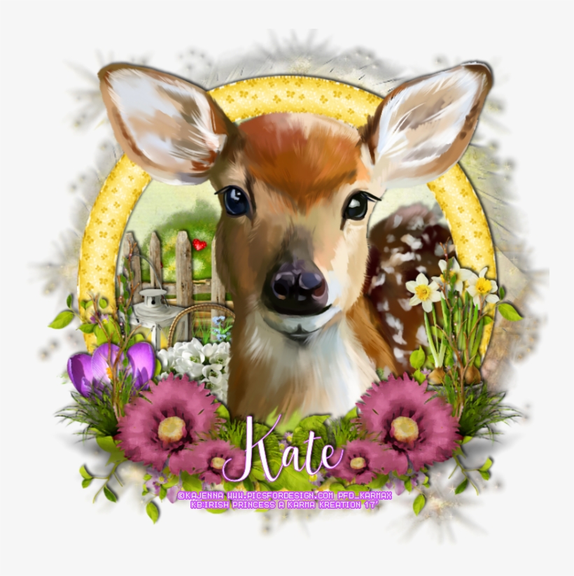 ♥watercolor Garden Ptu Tut♥ - Watercolor Painting Of Animals, transparent png download