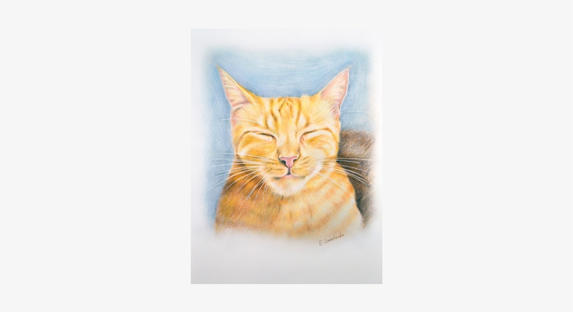 Cat Walter - Tabby Cat, transparent png download