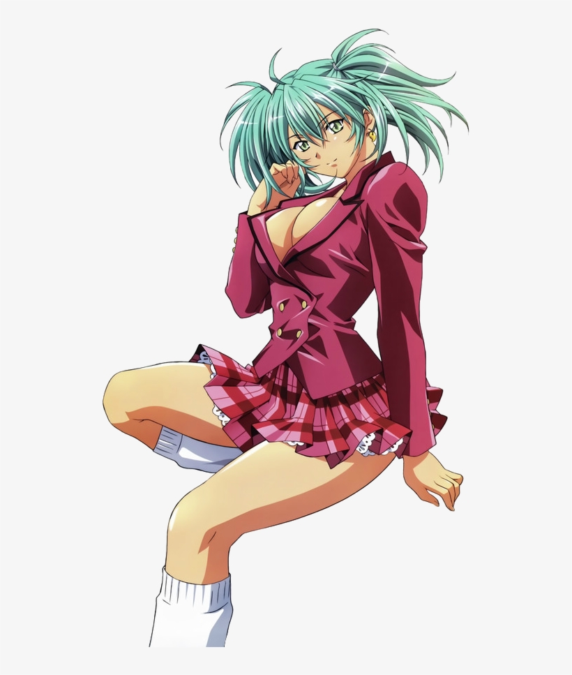 It's A Fact That Everyone Loves Maids And That's Why - Ikkitousen Great Guardians Dvd, transparent png download