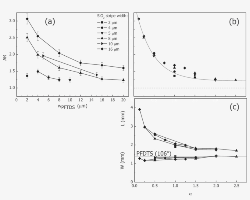 Experimentally Determined Droplet Shapes In Relation - Ratio, transparent png download