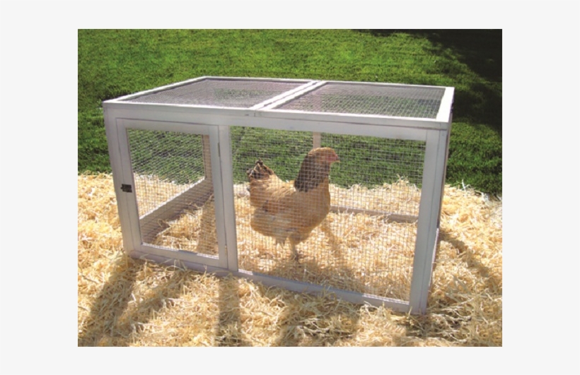 Creates A Safe And Secure Environment For Chickens - Precision Pet Backpen Backyard Barn Chicken Pen, transparent png download