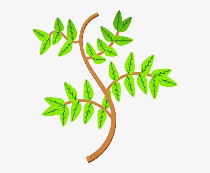 How To Set Use Leaves Svg Vector, transparent png download