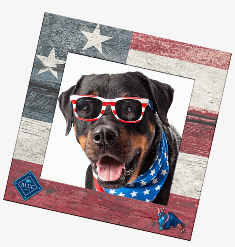 Check Out All Our Patriotic Entries In The Gallery - Pet, transparent png download