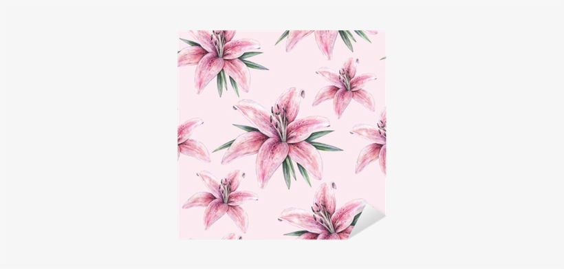 Pink Lily Flowers Isolated On Pink Background - New Handwork Sketch Design, transparent png download