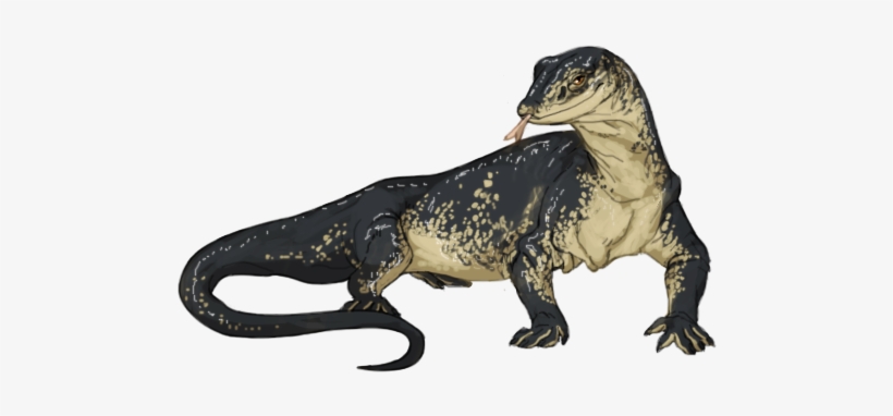 Download Item Monitor Lizard - Monitor Lizard Png | Transparent PNG